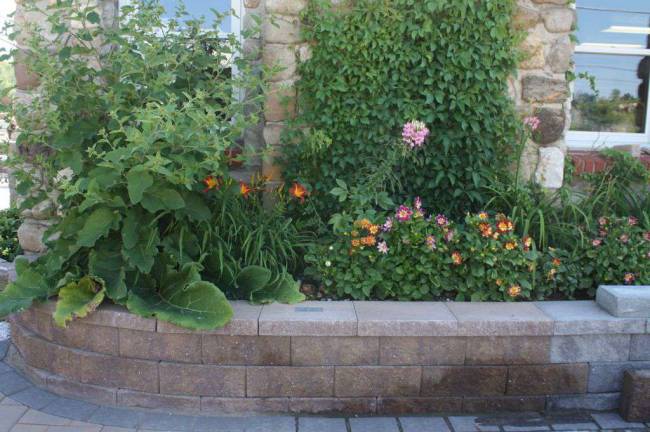 Retaining wall and garden