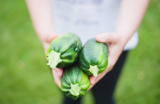 Grow Local to host farm-to-table fundraiser