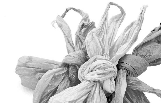 Photo illustration Sustainable Warwick is hosting a summit on March 24 to discuss reducing single-use plastic bags.