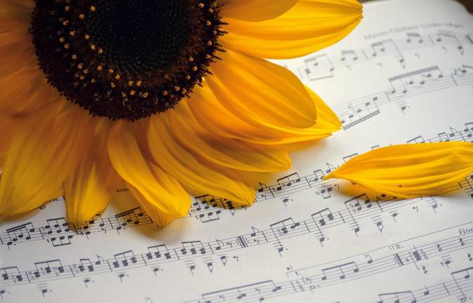 Music for Humanity celebrates anniversary with a concert