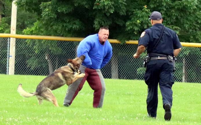 Warwick Police hosts K 9 certification trials