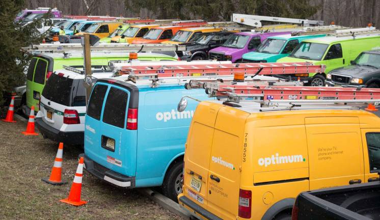 Vans of a different color