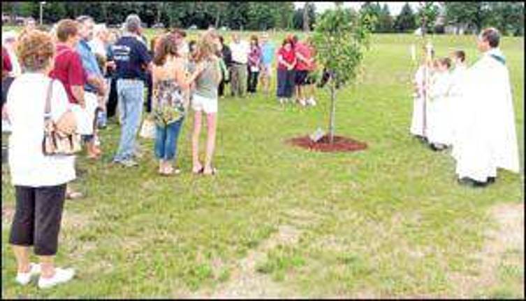 Callery pear tree blessed by St. Stephen's pastor on the tenth anniversary of September 11, 2001 attacks