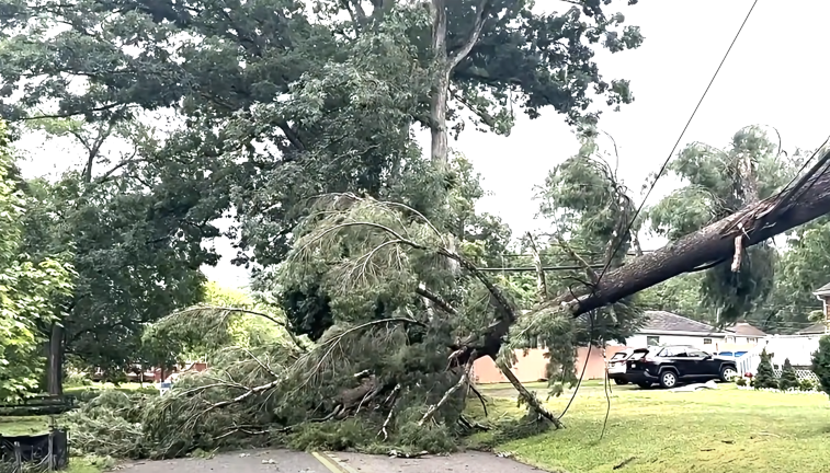 Fast-moving storm downs trees, causing Greenwood Lake residents to lose power over the July 4 holiday.