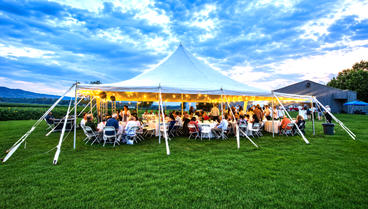 Guests gather at the The Pine Island Summer Social.