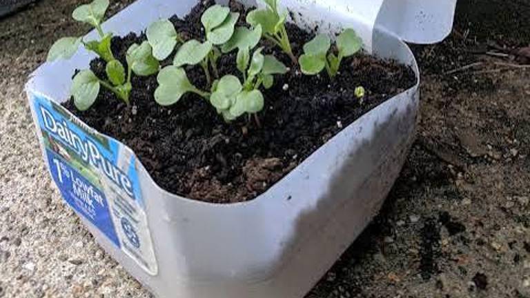 Winter Seed Sowing Seminar