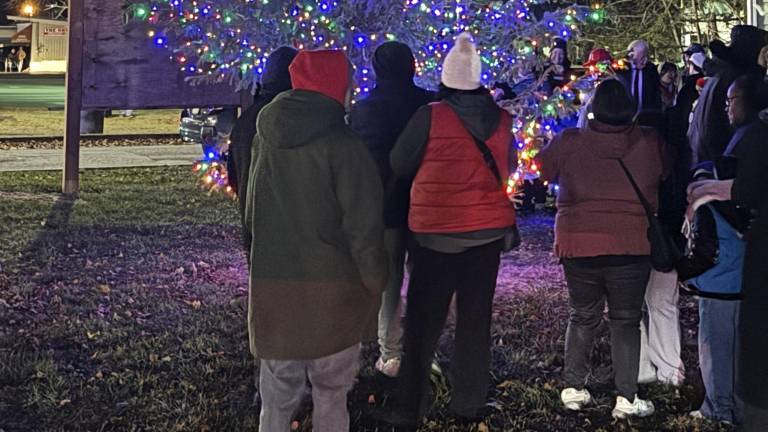 Local festival ushers in holiday season