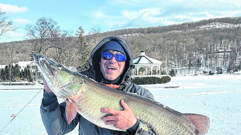 Warwick, N.Y. resident Viktor Gelman is shown with a 45-pound musky he caught on Greenwood Lake. It is awaiting certification as a New Jersey state record.