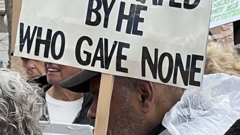 Rally-goers also hoisted signs with their concerns. Photo by Linda Smith Hancharick.