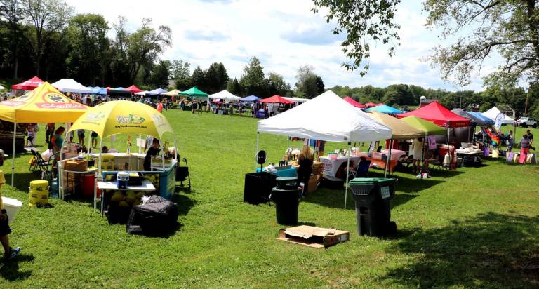 The weather cooperated and committee members believe the number of people visiting Play for the Park Summerfest held at Warwick Town Park could easily be over a thousand.