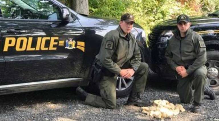 Photo provided by the DEC New York State Environmental Officers Max Nicols and Lucas Palmateer are pictured here with a pile of rice and honey in Pochuk Mountain State Forest in Warwick. The officers charged three hunters earlier this month with using the food items as illegal bear bait.