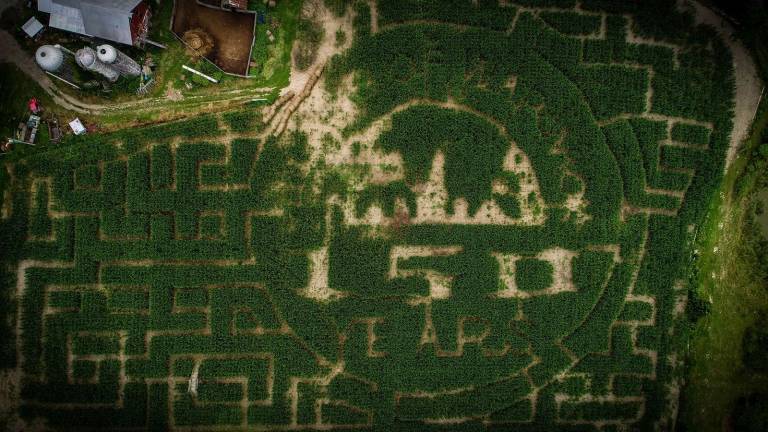Aerial photo by Lost Leaf Productions, LLC. The Wright Family Farm on Kings Highway has honored the Village of Warwick's 150th year anniversary by incorporating the village's Sesquicentennial logo in its 11th annual corn maze.