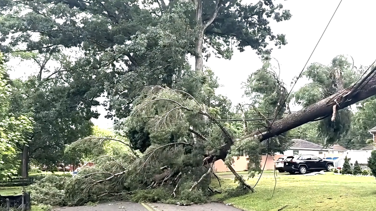 Fast-moving storm downs trees, causing Greenwood Lake residents to lose power over the July 4 holiday.