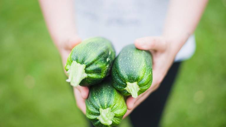Grow Local to host farm-to-table fundraiser