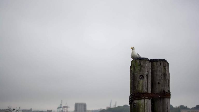 ‘Water Connects Us All’ poster contest announced