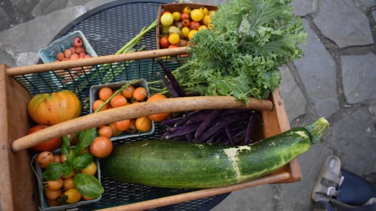 Each day in September begins with a trip to the garden. This was the haul on Sept. 2. Photos by Becca Tucker.