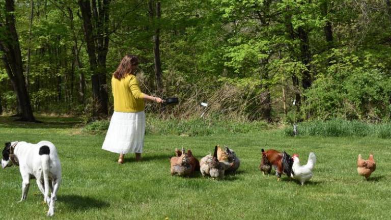 Gilda Burke with her flock in the Town of Warwick. She has a waiting list 15 deep for her eggs.