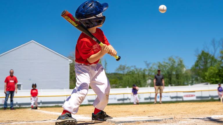 Orange County’s Youth Bureau is seeking applications for a state-funded grant program supporting youth team sports programs for underserved youth under the age of 18.