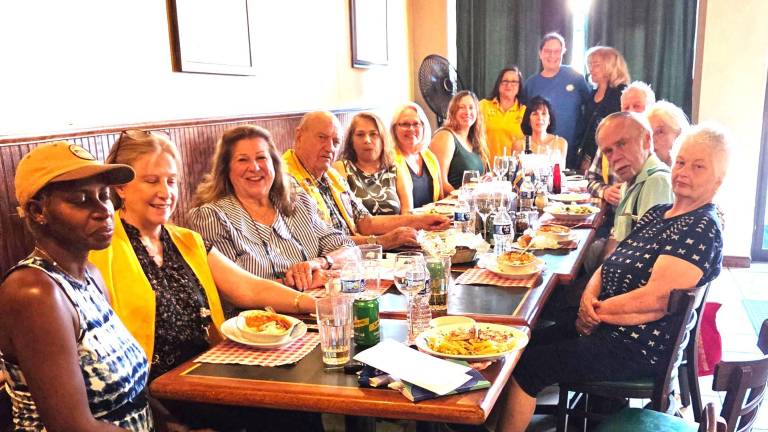 The Lions Clubs of Warwick, Florida, and Greenwood Lake, N.Y., have formed a joint Mental Health Committee.