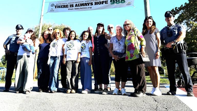 The Lions Clubs of Warwick, Florida, and Greenwood Lake, N.Y., have formed a joint Mental Health Committee.