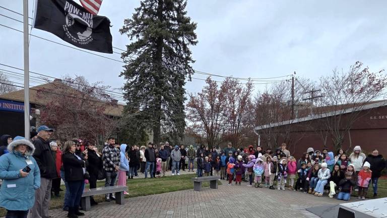 Crowd honors veterans despite cold weather