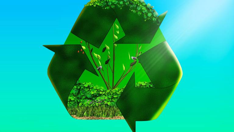 Celebrate Earth Day at Albert Wisner Public Library