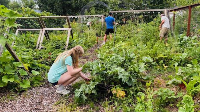 Common Ground Community Garden is one of 15 local food gardens on this year’s Kitchen Garden Tour