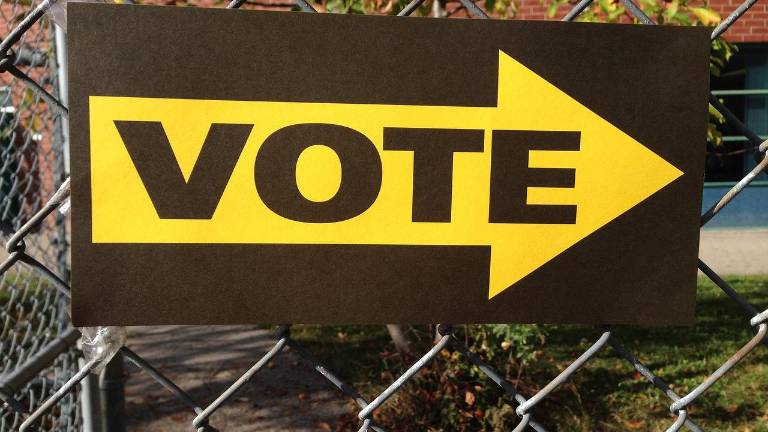 Albert Wisner Public Library will hold its tax levy and trustee election on Aprl 14.