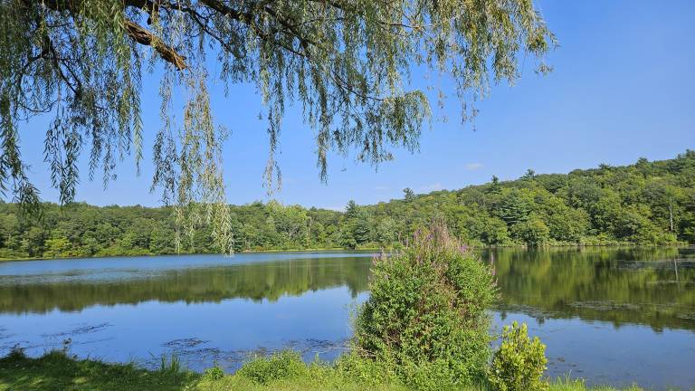 Mountain Lake Park.