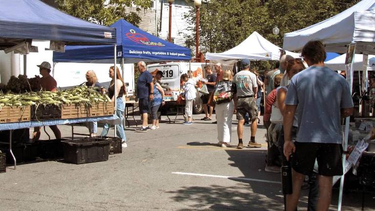 Patrons shop for local produce, baked good and more at the Warwick Valley Farmers Market.