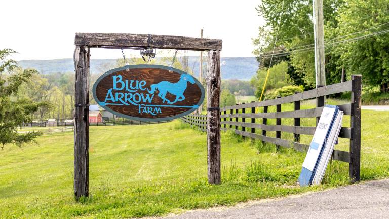 Blue Arrow Farm Pine Island, N.Y.