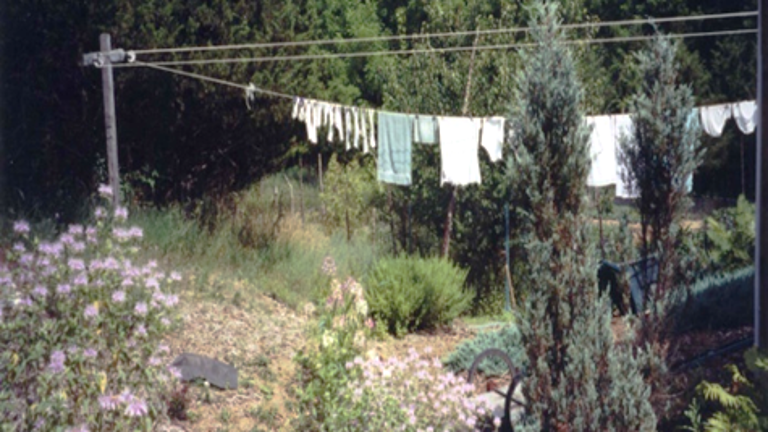 Clothes lines use ultra-cheap wind and solar power to dry clothes and keep money in your pocket.