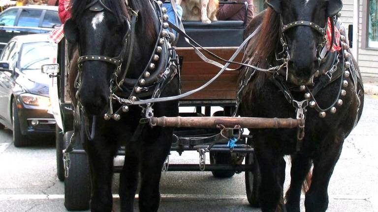 Sean Giery leads a horse-drawn carriage ride around the Village of Warwick