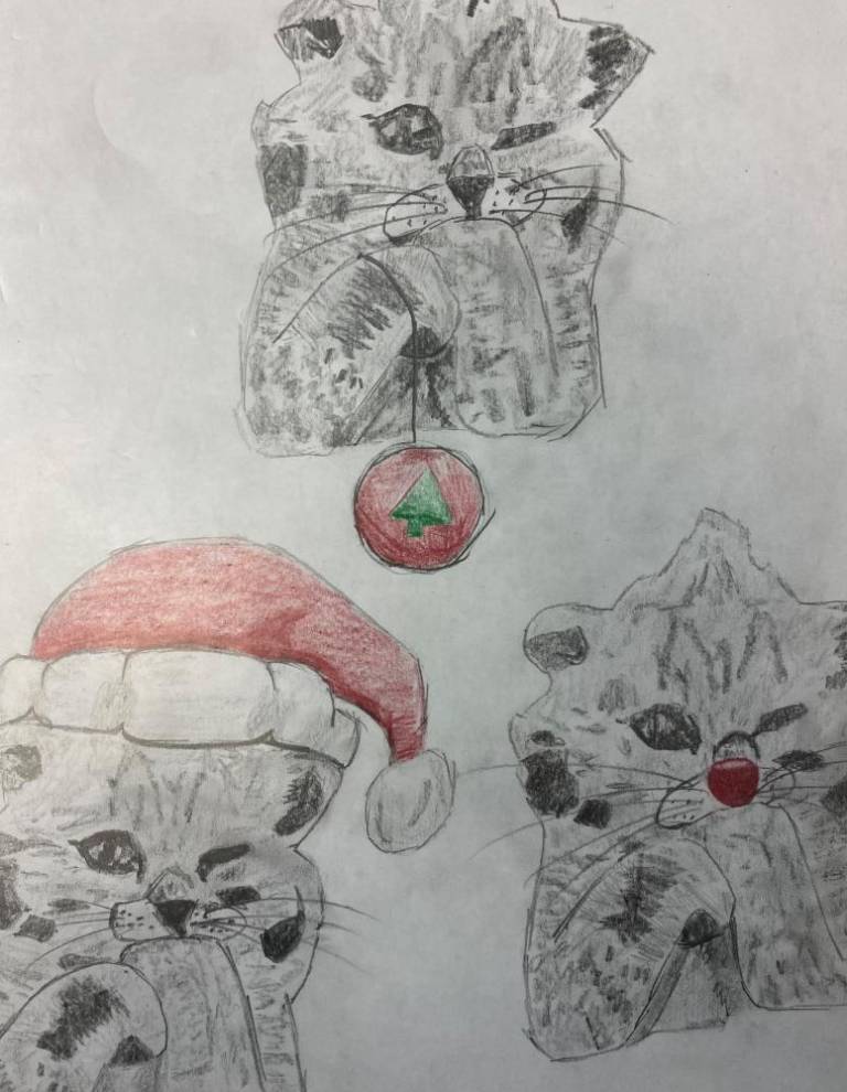 $!Check out all the entries: Warwick Advertiser Wrapping Paper Contest