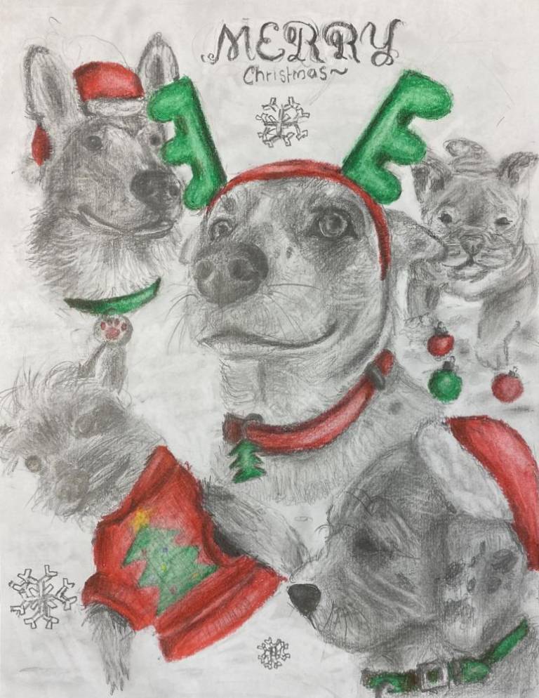 $!Check out all the entries: Warwick Advertiser Wrapping Paper Contest