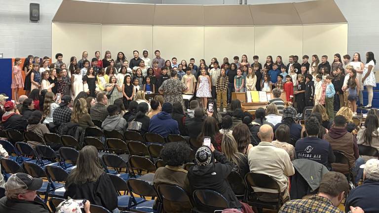 Musicians wow during concert